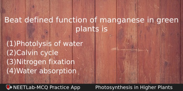 Beat Defined Function Of Manganese In Green Plants Is Biology Question 