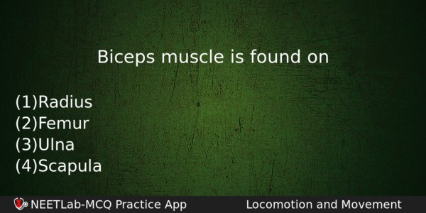 Biceps Muscle Is Found On Biology Question 