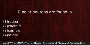 Bipolar Neurons Are Found In Biology Question