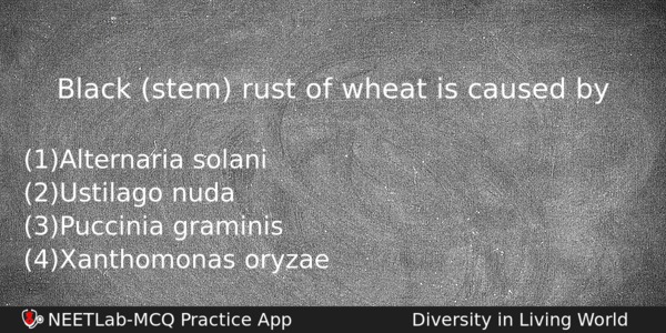 Black Stem Rust Of Wheat Is Caused By Biology Question 