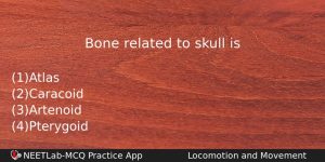Bone Related To Skull Is Biology Question