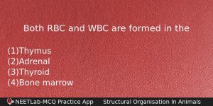 Both Rbc And Wbc Are Formed In The Biology Question