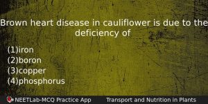 Brown Heart Disease In Cauliflower Is Due To The Deficiency Biology Question