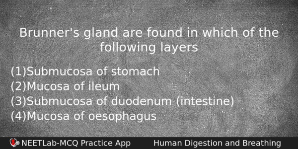 Brunners Gland Are Found In Which Of The Following Layers Biology Question 