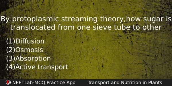 By Protoplasmic Streaming Theoryhow Sugar Is Translocated From One Sieve Biology Question 