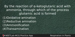 By The Reaction Of Ketoglutaric Acid With Ammonia Through Which Biology Question