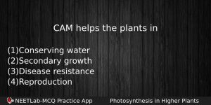 Cam Helps The Plants In Biology Question