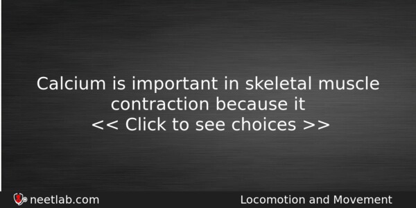 Calcium Is Important In Skeletal Muscle Contraction Because It Biology Question 