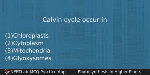 Calvin Cycle Occur In Biology Question