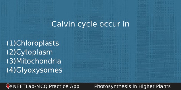 Calvin Cycle Occur In Biology Question 