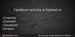 Cambium Activity Is Highest In Biology Question