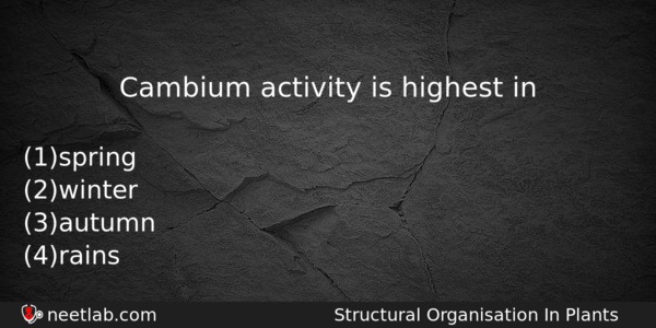 Cambium Activity Is Highest In Biology Question 