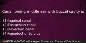 Canal Joining Middle Ear With Buccal Cavity Is Biology Question