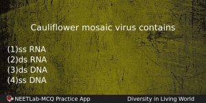 Cauliflower Mosaic Virus Contains Biology Question