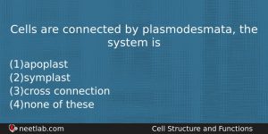 Cells Are Connected By Plasmodesmata The System Is Biology Question