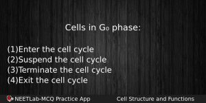 Cells In G Phase Biology Question
