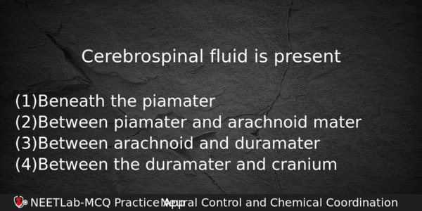 Cerebrospinal Fluid Is Present Biology Question 