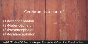Cerebrum Is A Part Of Biology Question