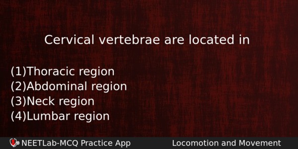 Cervical Vertebrae Are Located In Biology Question 