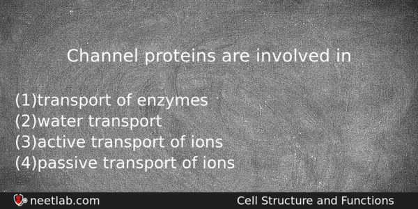Channel Proteins Are Involved In Biology Question 