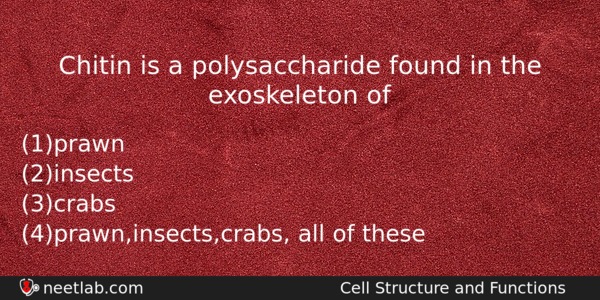 Chitin Is A Polysaccharide Found In The Exoskeleton Of Biology Question 