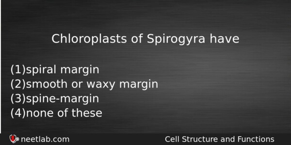 Chloroplasts Of Spirogyra Have Biology Question 