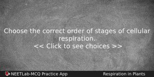 Choose The Correct Order Of Stages Of Cellular Respiration Biology Question
