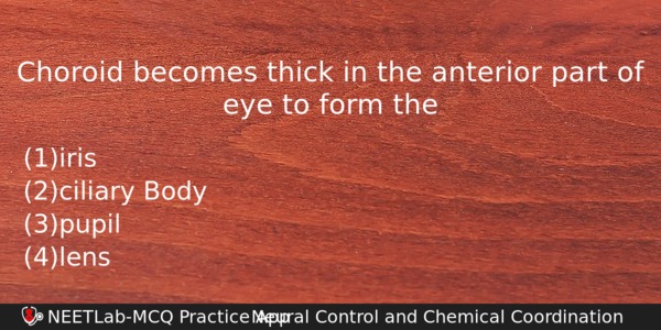 Choroid Becomes Thick In The Anterior Part Of Eye To Biology Question 