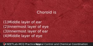Choroid Is Biology Question