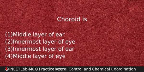 Choroid Is Biology Question 