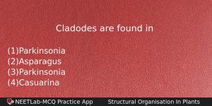 Cladodes Are Found In Biology Question