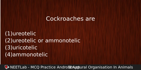 Cockroaches Are Biology Question 