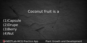 Coconut Fruit Is A Biology Question