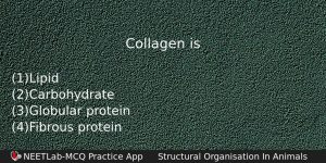 Collagen Is Biology Question
