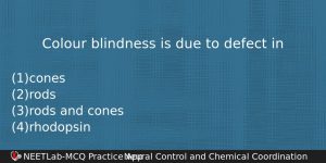Colour Blindness Is Due To Defect In Biology Question