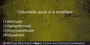 Columella Auris Is A Modified Biology Question