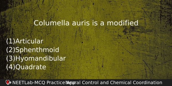Columella Auris Is A Modified Biology Question 