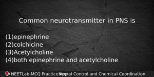 Common Neurotransmitter In Pns Is Biology Question