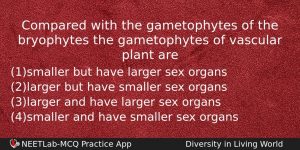 Compared With The Gametophytes Of The Bryophytes The Gametophytes Of Biology Question