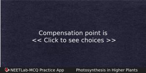 Compensation Point Is Biology Question