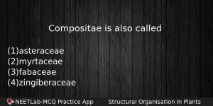 Compositae Is Also Called Biology Question