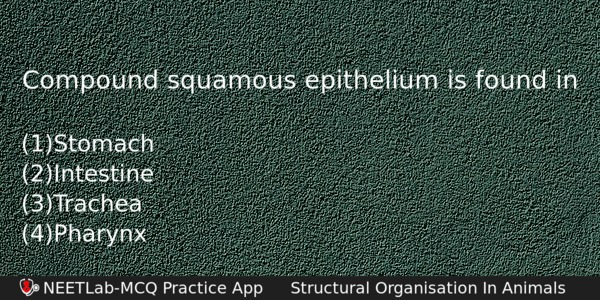 Compound Squamous Epithelium Is Found In Biology Question 
