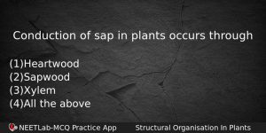 Conduction Of Sap In Plants Occurs Through Biology Question