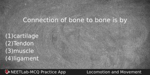 Connection Of Bone To Bone Is By Biology Question