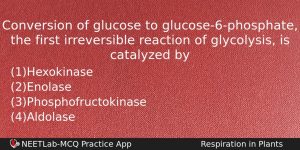 Conversion Of Glucose To Glucose6phosphate The First Irreversible Reaction Of Biology Question