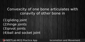 Convexcity Of One Bone Articulates With Conavity Of Other Bone Biology Question