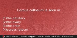 Corpus Callosum Is Seen In Biology Question