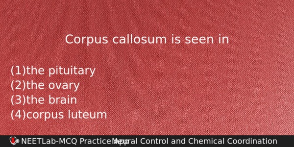 Corpus Callosum Is Seen In Biology Question 