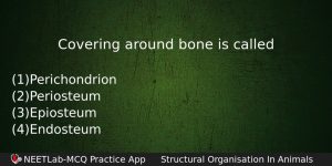 Covering Around Bone Is Called Biology Question