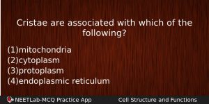 Cristae Are Associated With Which Of The Following Biology Question